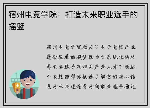 宿州电竞学院：打造未来职业选手的摇篮